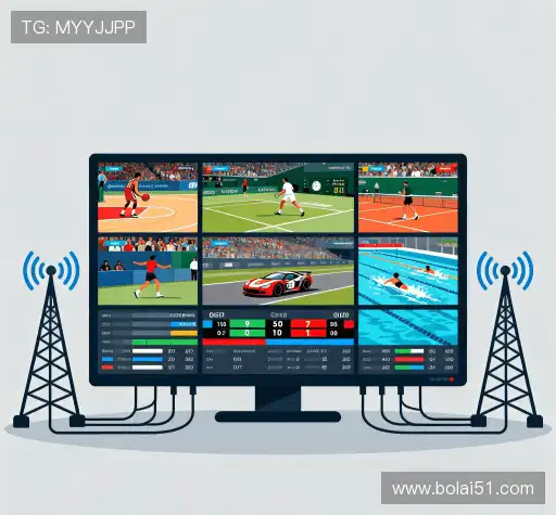 我们卓越的品质